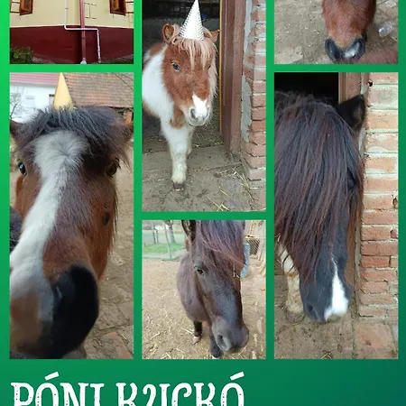Poni Kucko Vendeghaz Es Minifarm Ferienhaus