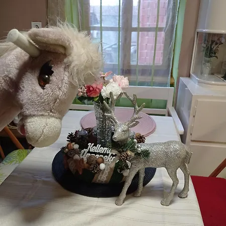 Póni Kuckó és Minifarm Hosszuvoelgy
