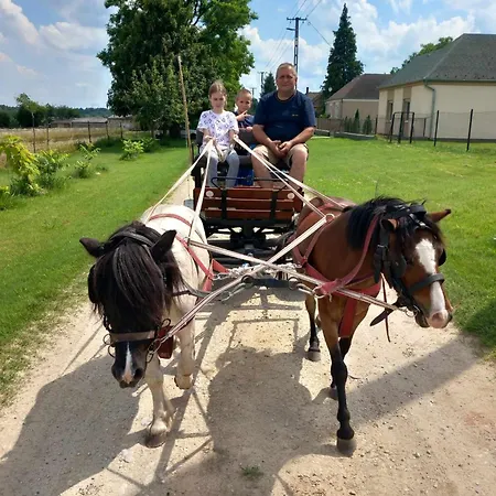 Poni Kucko Vendeghaz Es Minifarm Vakantiehuis Hosszuvoelgy