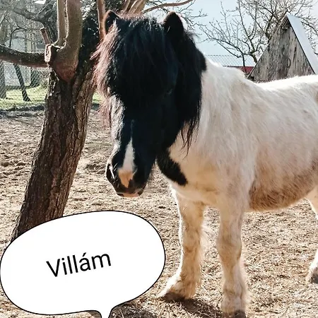 Póni Kuckó és Minifarm *