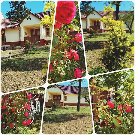 Póni Kuckó és Minifarm