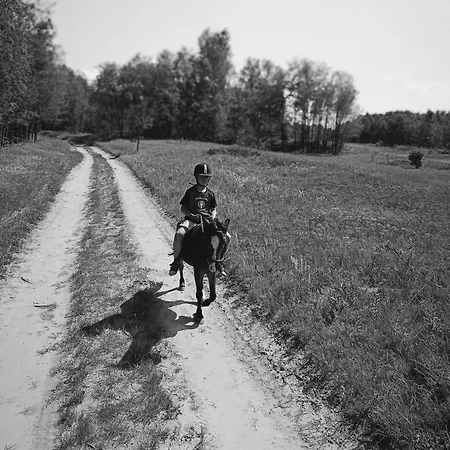 Vakantiehuis Poni Kucko Vendeghaz Es Minifarm Hosszuvoelgy