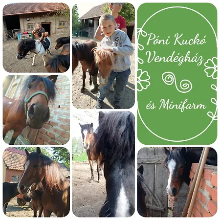 Ferienhaus Poni Kucko Vendeghaz Es Minifarm