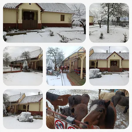 Póni Kuckó és Minifarm * Hosszuvoelgy